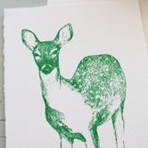 peacedeer_2_3.jpg